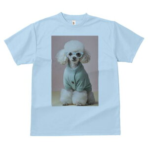 v[h TVc  j[NfUCY LbY t@  t vg JWA 킢 lԗp Mtg I Kl v[h J[fBK