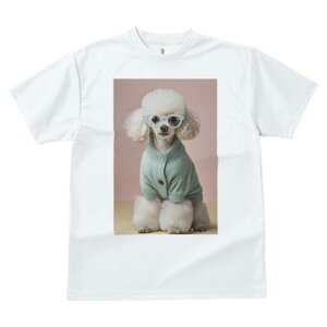 v[h TVc  j[NfUCY LbY t@  t vg JWA 킢 lԗp Mtg I Kl v[h J[fBK