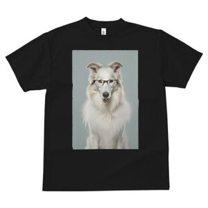 R[ TVc  j[NfUCfB[X t@  t vg JWA 킢 lԗp Mtg I Kl R[