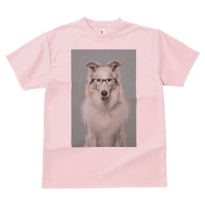 R[ TVc  j[NfUCY LbY t@  t vg JWA 킢 lԗp Mtg I Kl R[