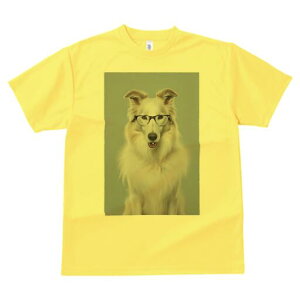 R[ TVc  j[NfUCY LbY t@  t vg JWA 킢 lԗp Mtg I Kl R[