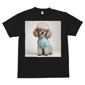 gCv[h TVc  j[NfUCfB[X t@  t vg JWA 킢 lԗp Mtg I Kl gCv[h 