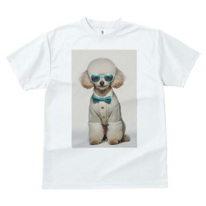 gCv[h TVc  j[NfUCfB[X t@  t vg JWA 킢 lԗp Mtg I TOX gCv[h jbg lN^C {^