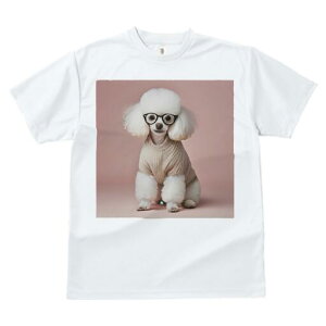 v[h TVc  j[NfUCfB[X t@  t vg JWA 킢 lԗp Mtg I Z[^[ v[h Kl