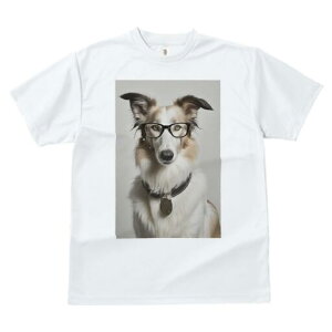 {]C TVc  j[NfUCfB[X t@  t vg JWA 킢 lԗp Mtg I Kl {]C 