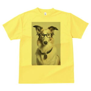 {]C TVc  j[NfUCY LbY t@  t vg JWA 킢 lԗp Mtg I Kl {]C 