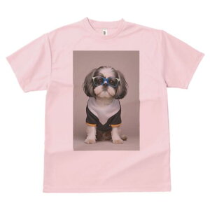 V[Y[ TVc  j[NfUCY LbY t@  t vg JWA 킢 lԗp Mtg I Kl V[Y[ 