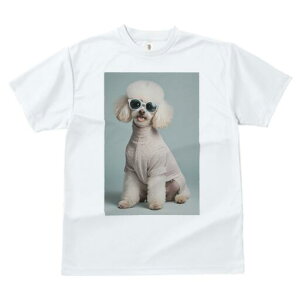 v[h TVc  j[NfUCfB[X t@  t vg JWA 킢 lԗp Mtg I TOX v[h Z[^[