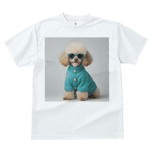 gCv[h TVc  j[NfUCfB[X t@  t vg JWA 킢 lԗp Mtg I TOX gCv[h Z[^[