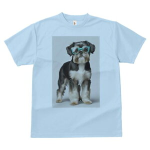 V[Y[ TVc  j[NfUCY LbY t@  t vg JWA 킢 lԗp Mtg I Kl V[Y[