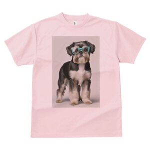 V[Y[ TVc  j[NfUCY LbY t@  t vg JWA 킢 lԗp Mtg I Kl V[Y[