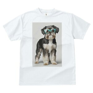 V[Y[ TVc  j[NfUCfB[X t@  t vg JWA 킢 lԗp Mtg I Kl V[Y[