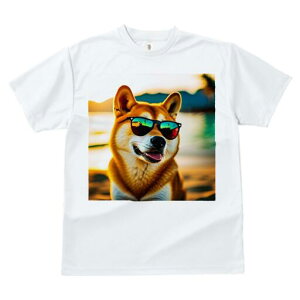 Č TVc  j[NfUCfB[X t@  t vg JWA 킢 lԗp Mtg I TOX Č C [