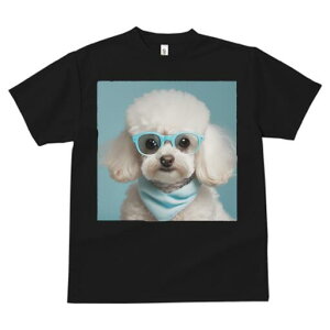 gCv[h TVc  j[NfUCfB[X t@  t vg JWA 킢 lԗp Mtg I Kl gCv[h o_i