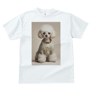 v[h TVc  j[NfUCfB[X t@  t vg JWA 킢 lԗp Mtg I Kl v[h Z[^[ p p