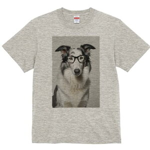 {[_[R[ TVc  j[NfUCY LbY t@  t vg JWA 킢 lԗp Mtg I Kl {[_[R[