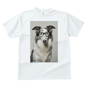 {[_[R[ TVc  j[NfUCfB[X t@  t vg JWA 킢 lԗp Mtg I Kl {[_[R[