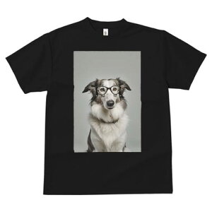 {[_[R[ TVc  j[NfUCfB[X t@  t vg JWA 킢 lԗp Mtg I Kl {[_[R[