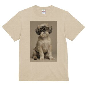 V[Y[ TVc  j[NfUCY LbY t@  t vg JWA 킢 lԗp Mtg I Kl V[Y[