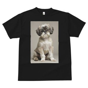 V[Y[ TVc  j[NfUCfB[X t@  t vg JWA 킢 lԗp Mtg I Kl V[Y[