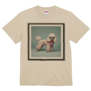 v[h TVc  j[NfUCY LbY t@  t vg JWA 킢 lԗp Mtg I Kl v[h XJ[t