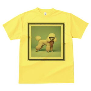 v[h TVc  j[NfUCY LbY t@  t vg JWA 킢 lԗp Mtg I Kl v[h XJ[t