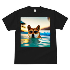 Č TVc  j[NfUCfB[X t@  t vg JWA 킢 lԗp Mtg I TOX Č C  r[`