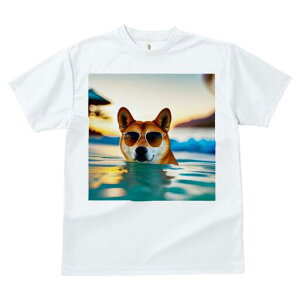 Č TVc  j[NfUCfB[X t@  t vg JWA 킢 lԗp Mtg I TOX Č C  r[`