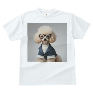 gCv[h TVc  j[NfUCfB[X t@  t vg JWA 킢 lԗp Mtg I Kl gCv[h WPbg Z[^[