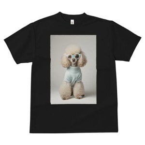 v[h TVc  j[NfUCY LbY t@  t vg JWA 킢 lԗp Mtg I Z[^[ v[h Kl