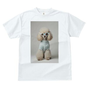 v[h TVc  j[NfUCfB[X t@  t vg JWA 킢 lԗp Mtg I Z[^[ v[h Kl