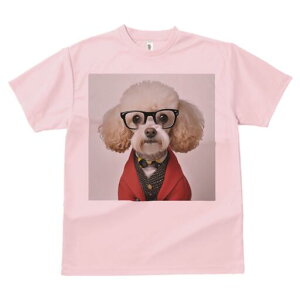 gCv[h TVc  j[NfUCY LbY t@  t vg JWA 킢 lԗp Mtg I Kl gCv[h WPbg lN^C