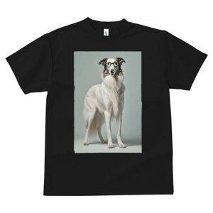 {]C TVc  j[NfUCfB[X t@  t vg JWA 킢 lԗp Mtg I Kl {]C