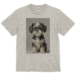 V[Y[ TVc  j[NfUCY LbY t@  t vg JWA 킢 lԗp Mtg I Kl V[Y[