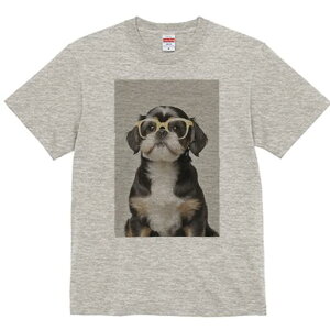 V[Y[ TVc  j[NfUCY LbY t@  t vg JWA 킢 lԗp Mtg I Kl V[Y[