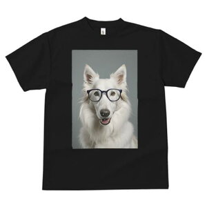 zCgXCXVFp[hhbO TVc  j[NfUCfB[X t@  t vg JWA 킢 lԗp Mtg I Kl zCgXCXVFp[hhb