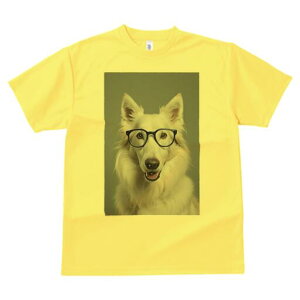 zCgXCXVFp[hhbO TVc  j[NfUCY LbY t@  t vg JWA 킢 lԗp Mtg I Kl zCgXCXVFp[hh