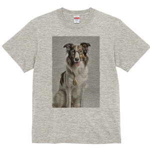 R[ TVc  j[NfUCY LbY t@  t vg JWA 킢 lԗp Mtg I Kl R[ y_g