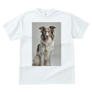 R[ TVc  j[NfUCY LbY t@  t vg JWA 킢 lԗp Mtg I Kl R[ y_g