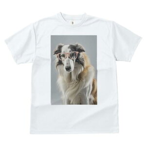 {]C TVc  j[NfUCfB[X t@  t vg JWA 킢 lԗp Mtg I Kl {]C