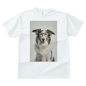 {[_[R[ TVc  j[NfUCfB[X t@  t vg JWA 킢 lԗp Mtg I Kl {[_[R[