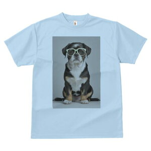 pO~bNX TVc  j[NfUCY LbY t@  t vg JWA 킢 lԗp Mtg I Kl pO~bNX