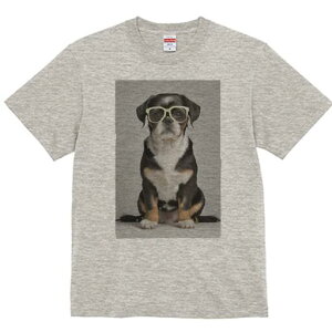 pO~bNX TVc  j[NfUCY LbY t@  t vg JWA 킢 lԗp Mtg I Kl pO~bNX