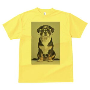 pO~bNX TVc  j[NfUCY LbY t@  t vg JWA 킢 lԗp Mtg I Kl pO~bNX