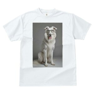 {]C TVc  j[NfUCfB[X t@  t vg JWA 킢 lԗp Mtg I Kl {]C