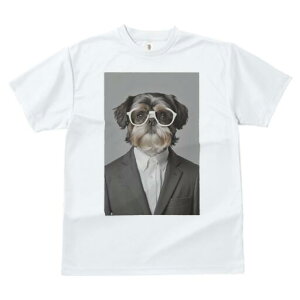 V[Y[ TVc  j[NfUCfB[X t@  t vg JWA 킢 lԗp Mtg I X[c V[Y[ ዾ Vc