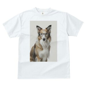 VFbghV[vhbO TVc  j[NfUCY LbY t@  t vg JWA 킢 lԗp Mtg I Kl VFbghV[vhbO