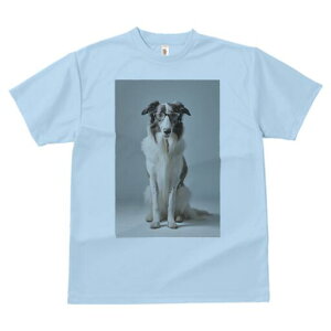 {]C TVc  j[NfUCY LbY t@  t vg JWA 킢 lԗp Mtg I Kl {]C