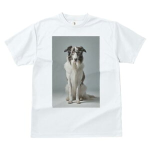 {]C TVc  j[NfUCfB[X t@  t vg JWA 킢 lԗp Mtg I Kl {]C