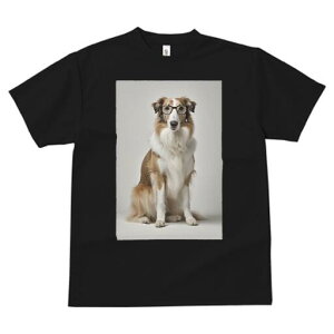 R[ TVc  j[NfUCfB[X t@  t vg JWA 킢 lԗp Mtg I Kl R[